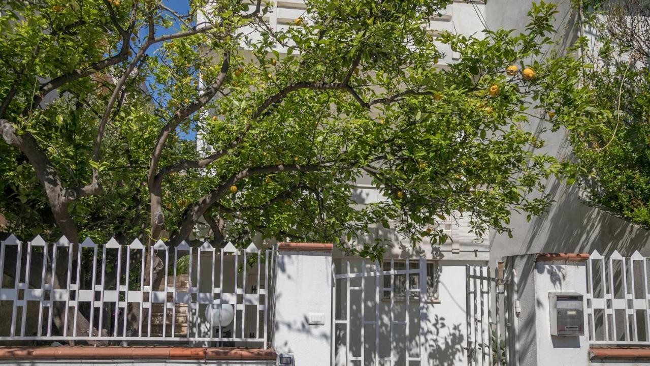 Appartamenti Taloro Ab Iun Q3273 卡拉古诺内 外观 照片